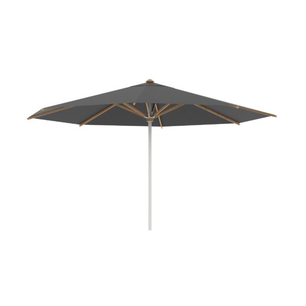 Shady parasol rvs / teak 450 rond black uni